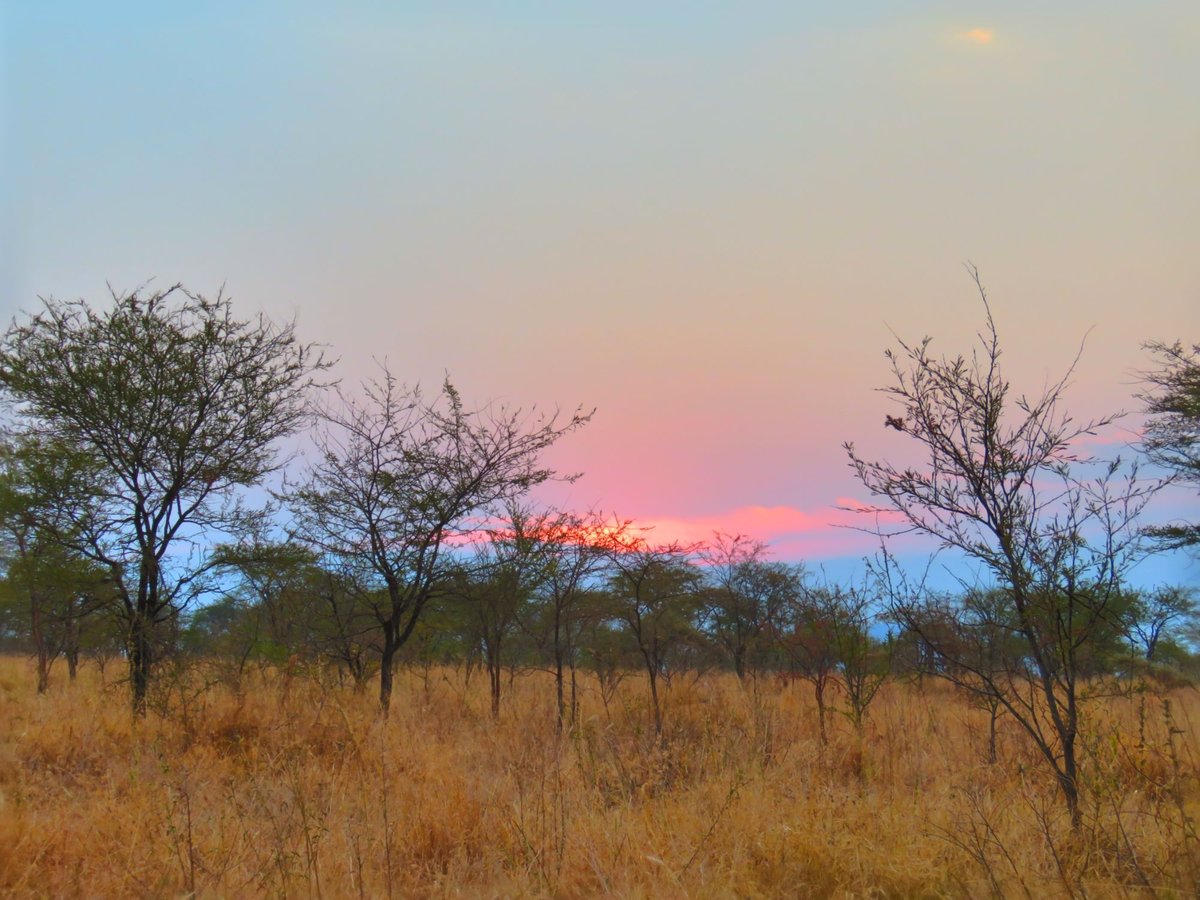 Tumbili Public Campsite - Campground Reviews (serengeti National Park 