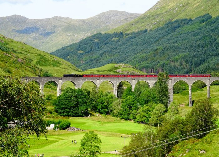 Viaduct and steam train