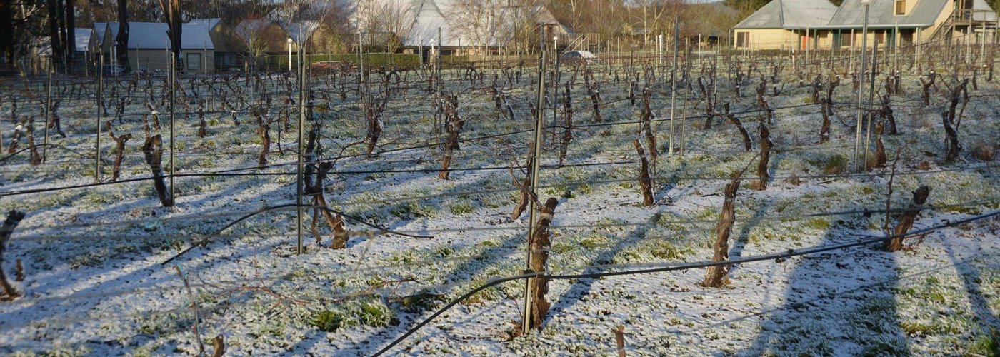 Cope Williams Winery