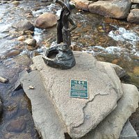 The fisherman