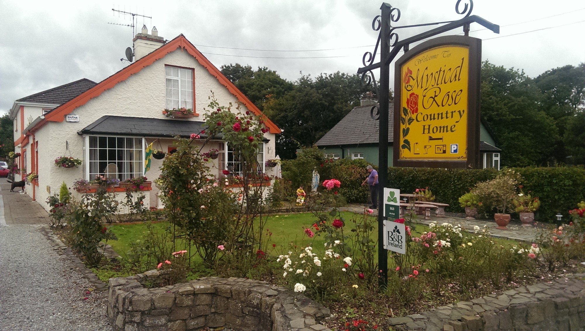 MYSTICAL ROSE BED AND BREAKFAST - Updated 2024 B&B Reviews (Killarney ...