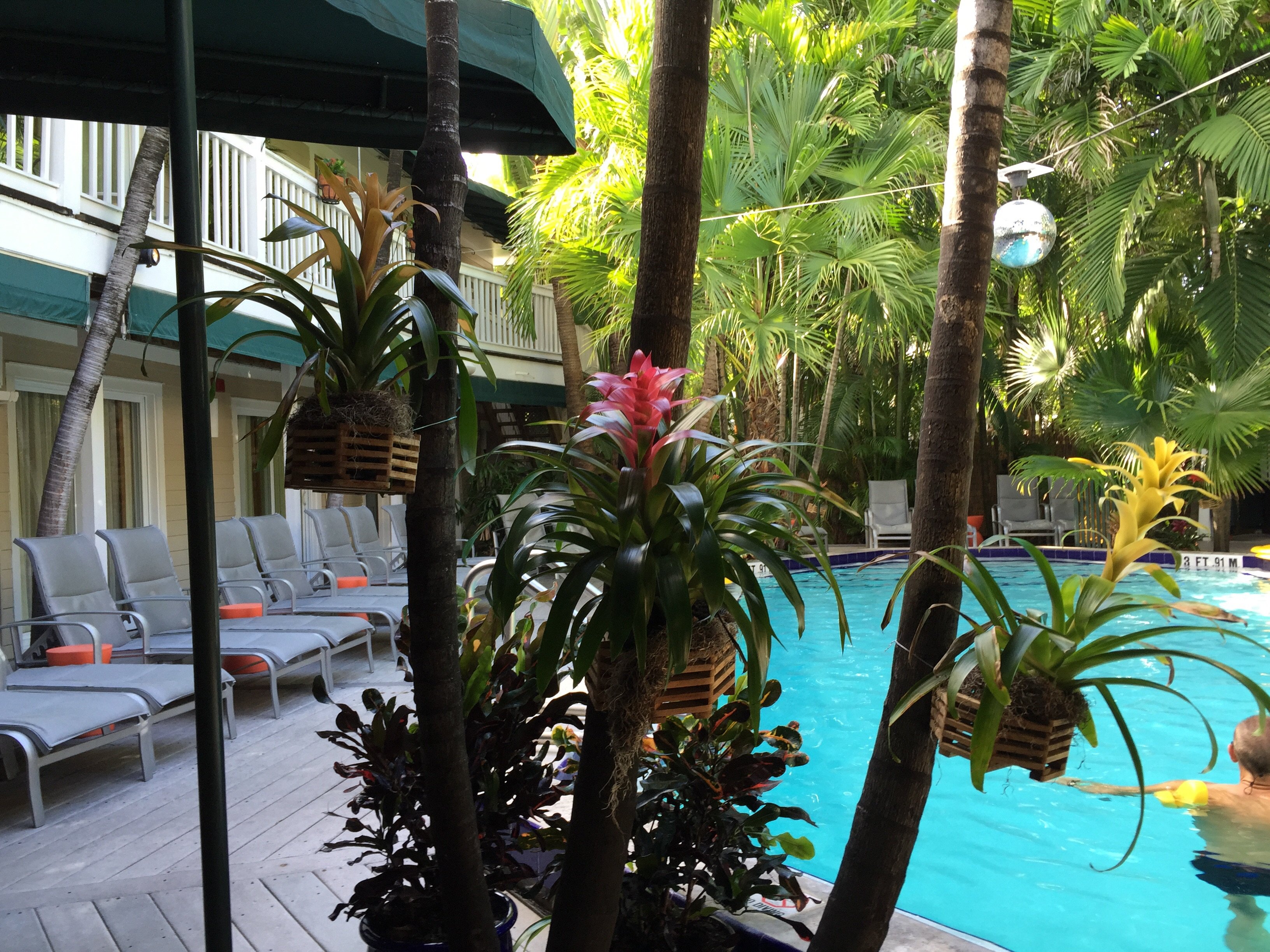 ISLAND HOUSE B&B (Key West, Florida): Prezzi E Recensioni (2024)