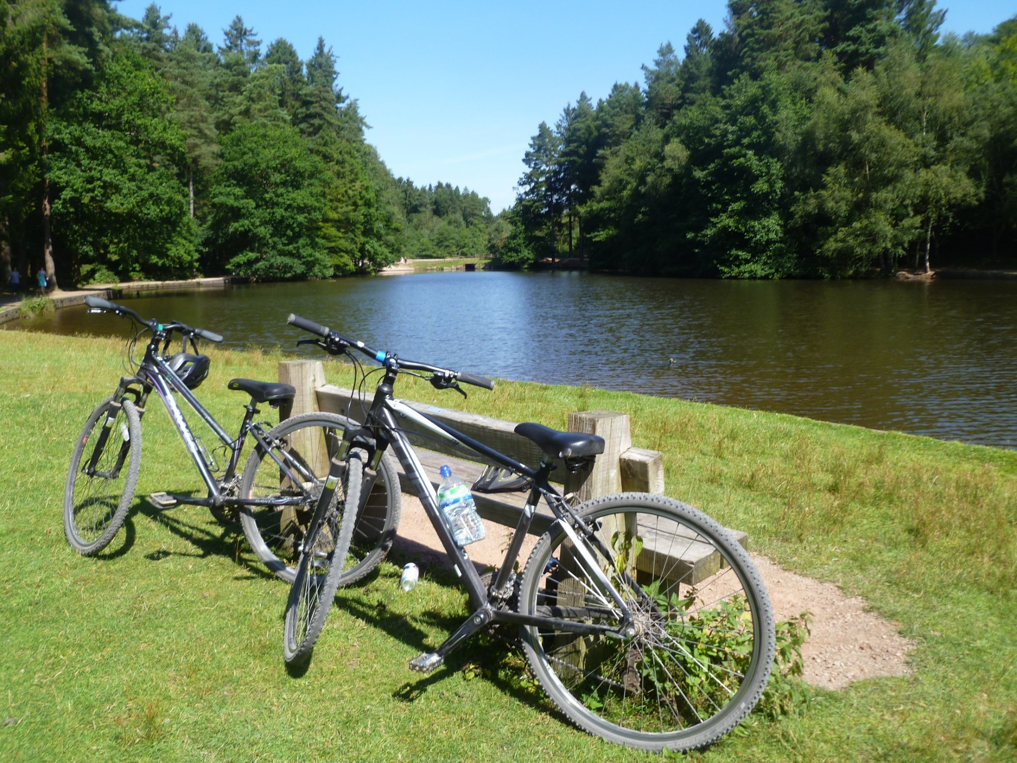 Forest of deals dean cycle trail