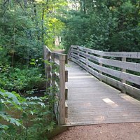 Green Circle Trail