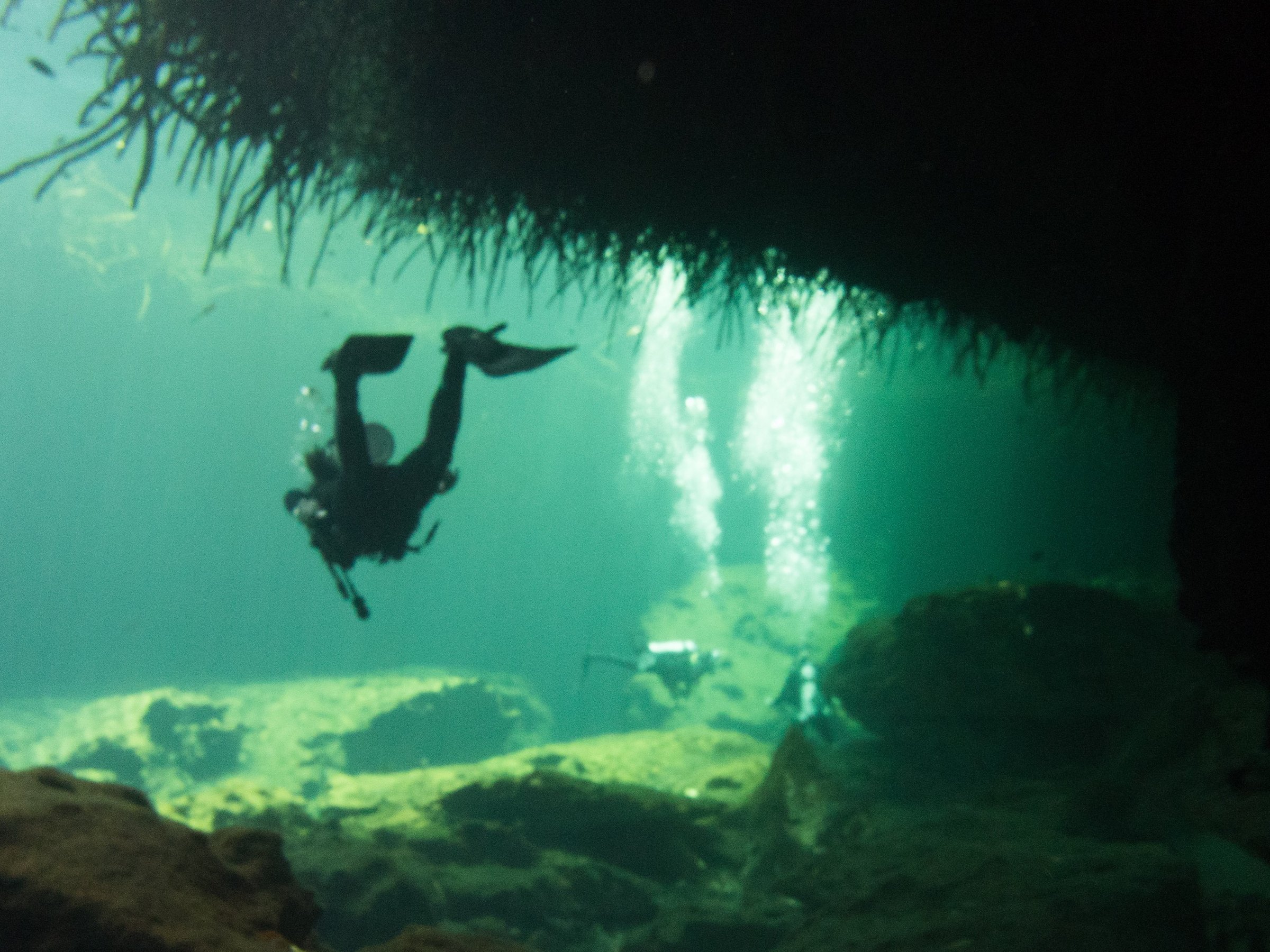 infinity 2 diving tulum