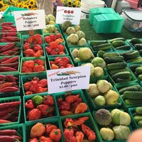 Fulton Street Farmers Market - All You Need to Know BEFORE You Go (2024)