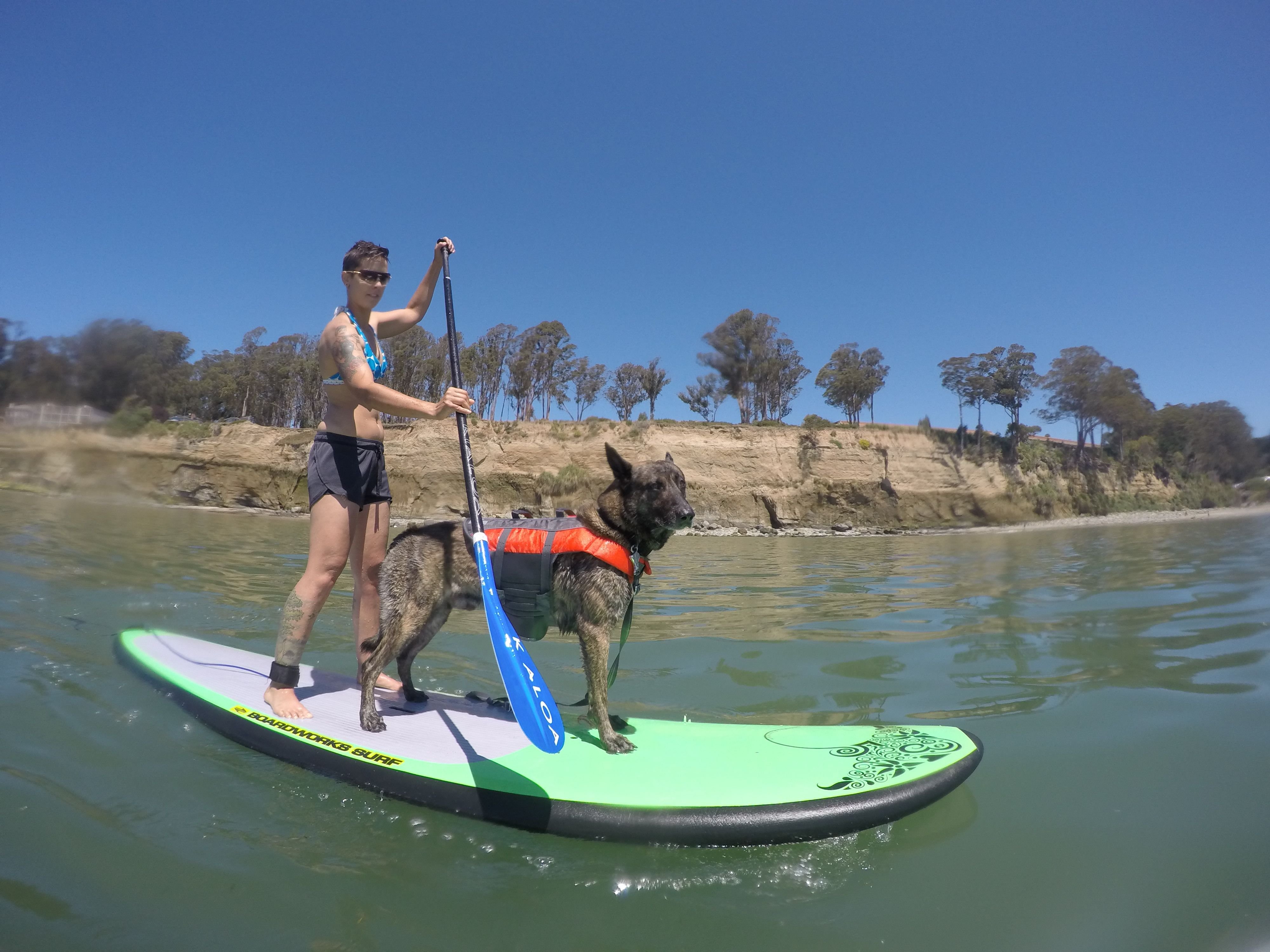 Covewater Paddle Surf All You Need to Know BEFORE You Go with