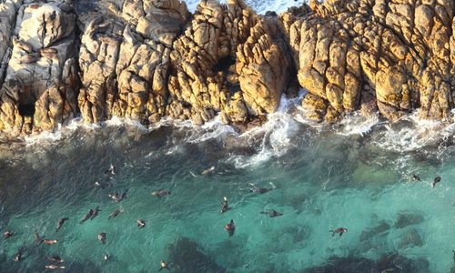 Seal Island
