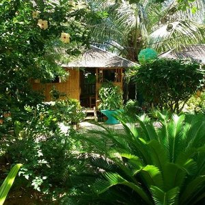 Native Cottage with abundance of plants