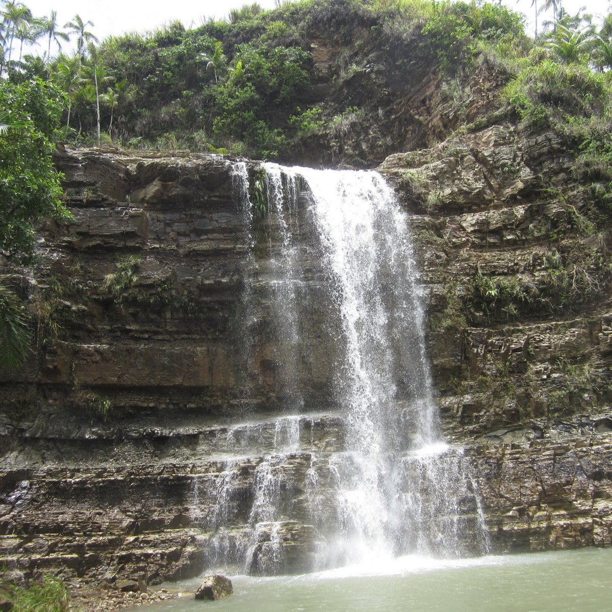 Tarzan Falls, Yona: лучшие советы перед посещением - Tripadvisor