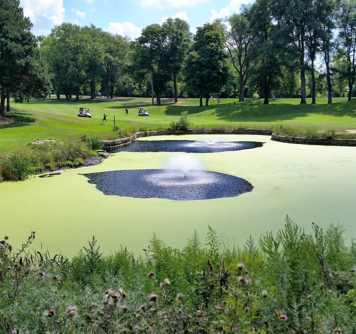 Whirlpool Golf Course, Niagara Falls, Golf course information and