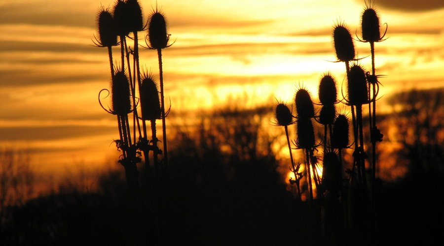 Home Page  Rotary club of Waukesha Sunrise