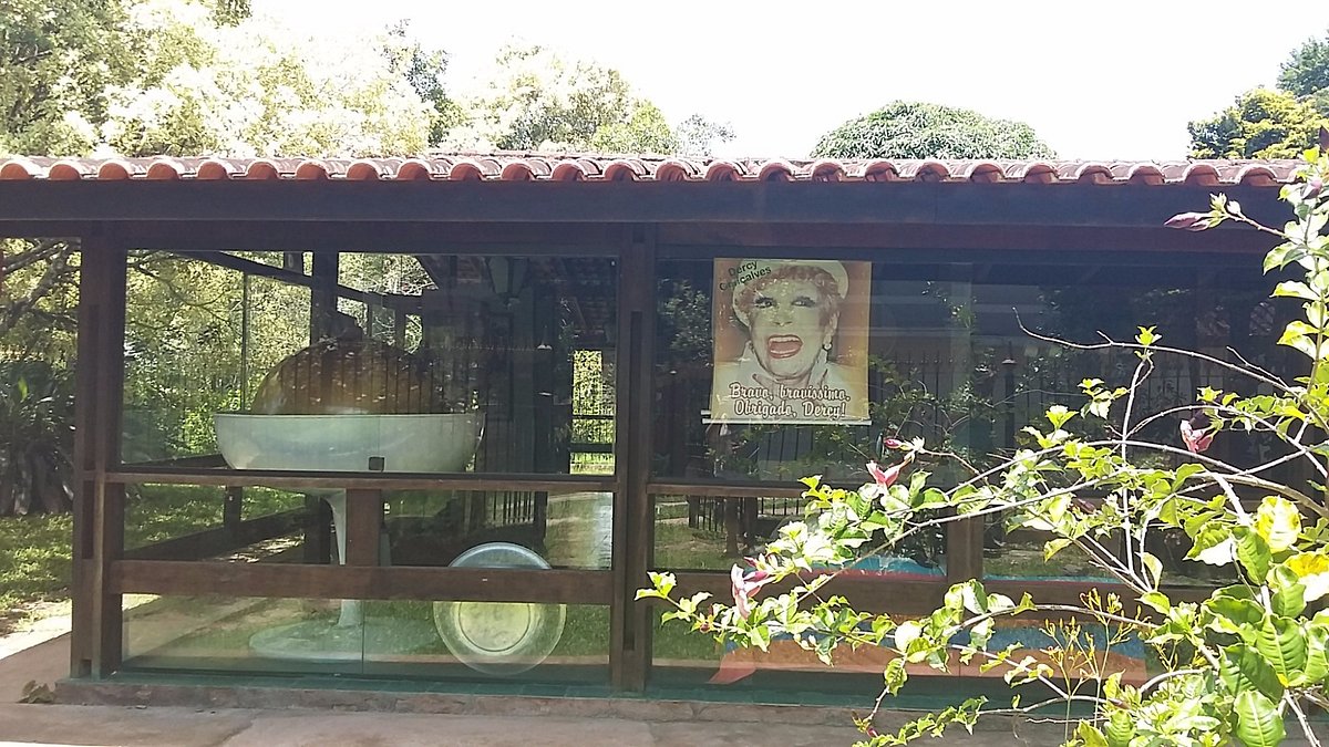 VENDA NOVA DA ZEZE, Santa Maria Madalena - Restaurant Reviews