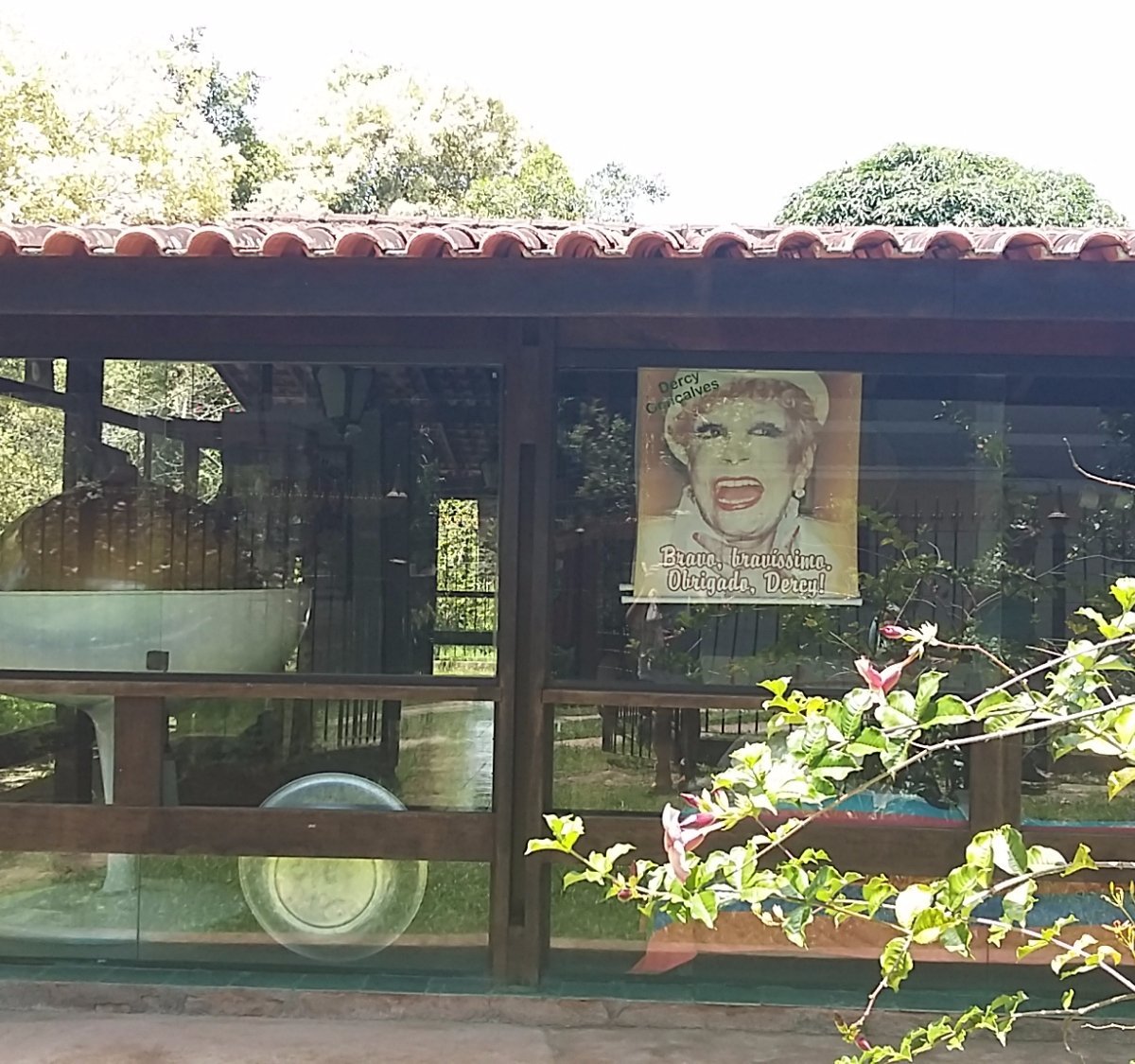 VENDA NOVA DA ZEZE, Santa Maria Madalena - Restaurant Reviews