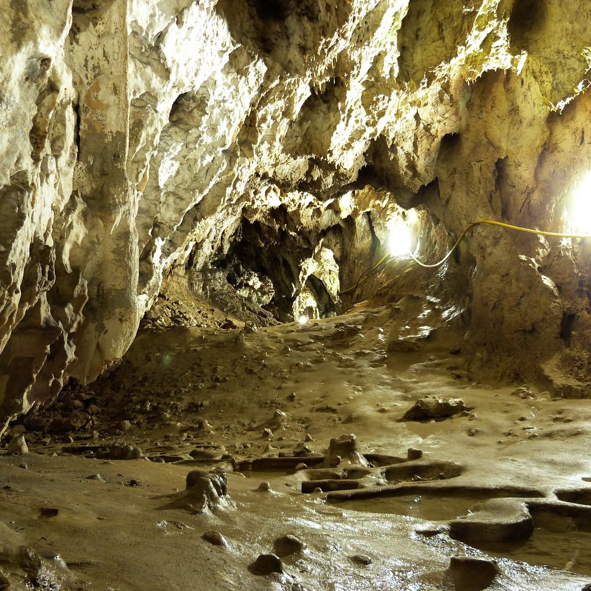 POLOVRAGI CAVE (2025) - All You Need to Know BEFORE You Go (with Photos)