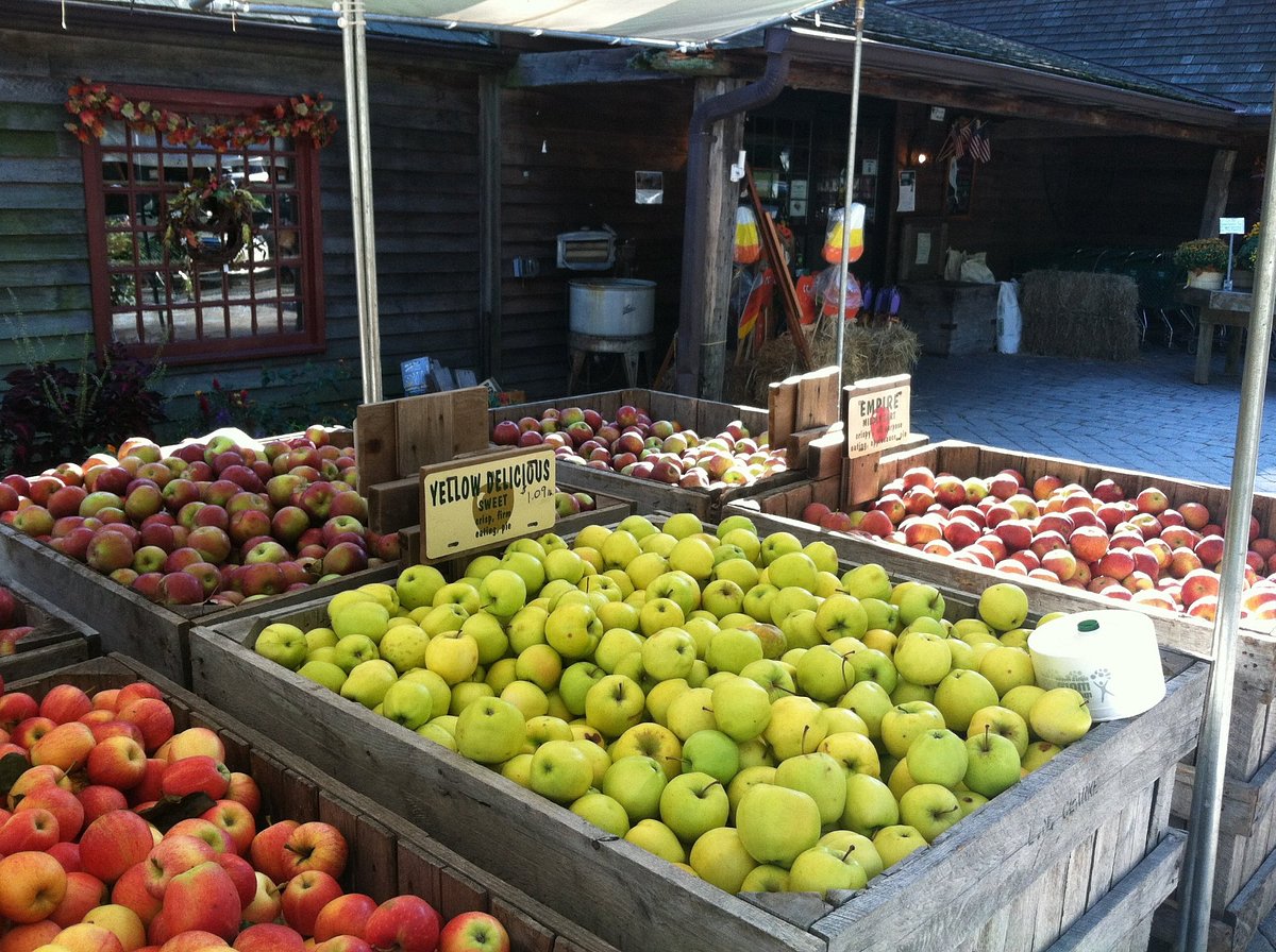 Pickled Green Tomato - Abma's Farm