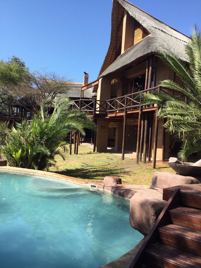 safari lodge tripadvisor