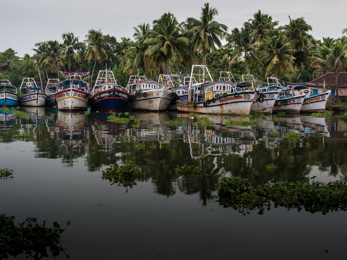 Day in Cochin - All You Need to Know BEFORE You Go (2025)