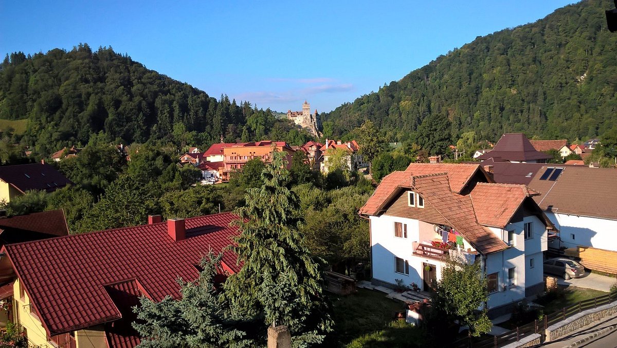 PENSIUNEA TRANSILVANIA LODGE (Румыния/Центральный Румыния - Бран) - отзывы,  фото и сравнение цен - Tripadvisor