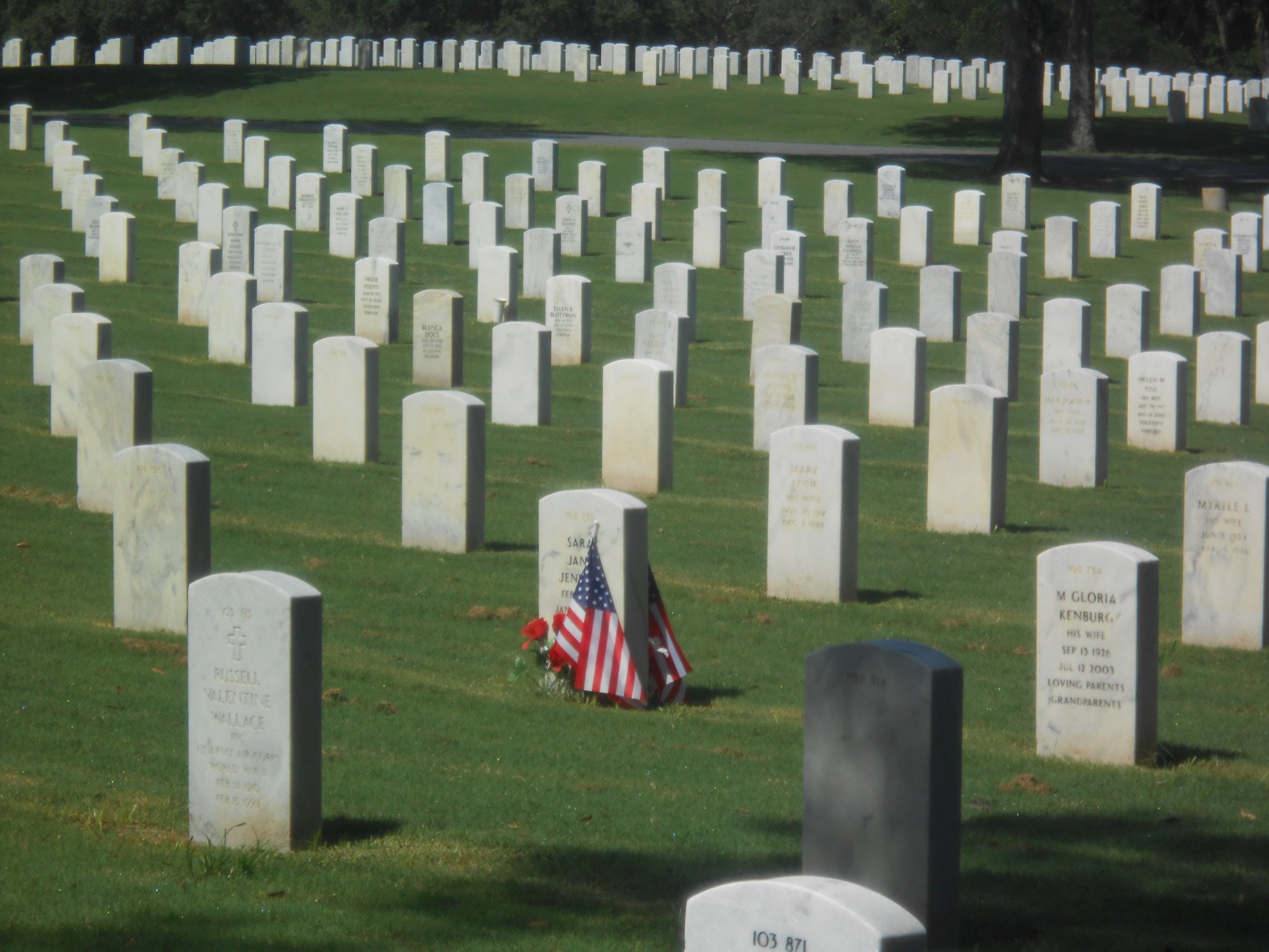 Florida National Cemetery Bushnell Tripadvisor   It Goes On For A Long 