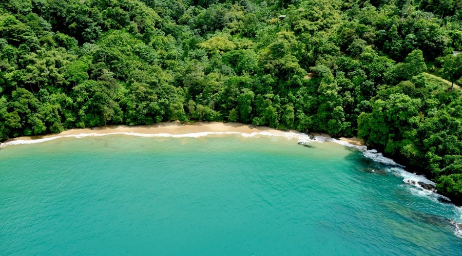 Pirates Bay Charlotteville