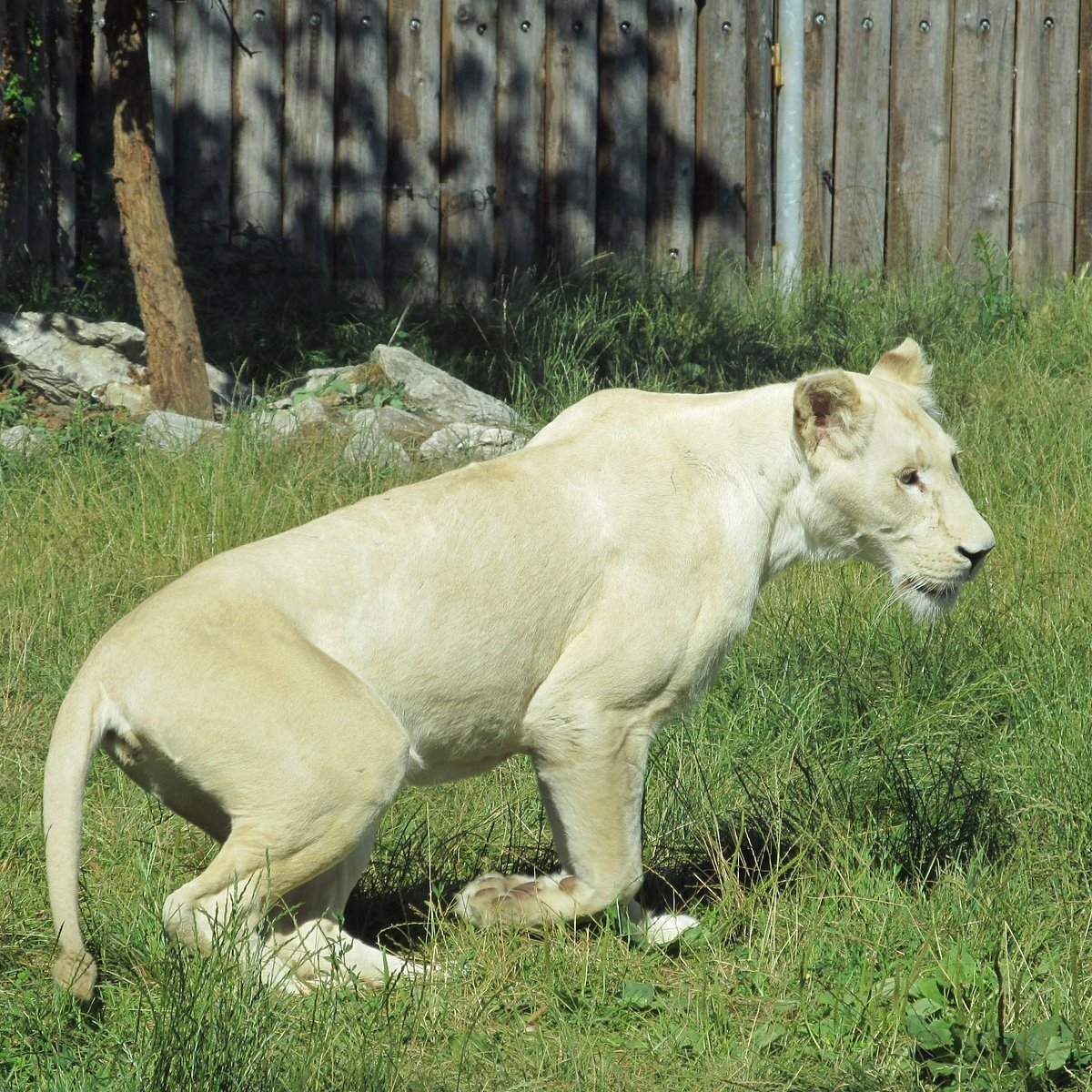 Zoo Hodonin: лучшие советы перед посещением - Tripadvisor