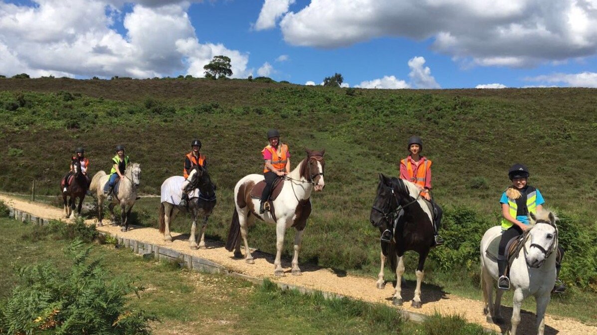 THE 5 BEST New Forest National Park Hampshire Horseback Riding Tours