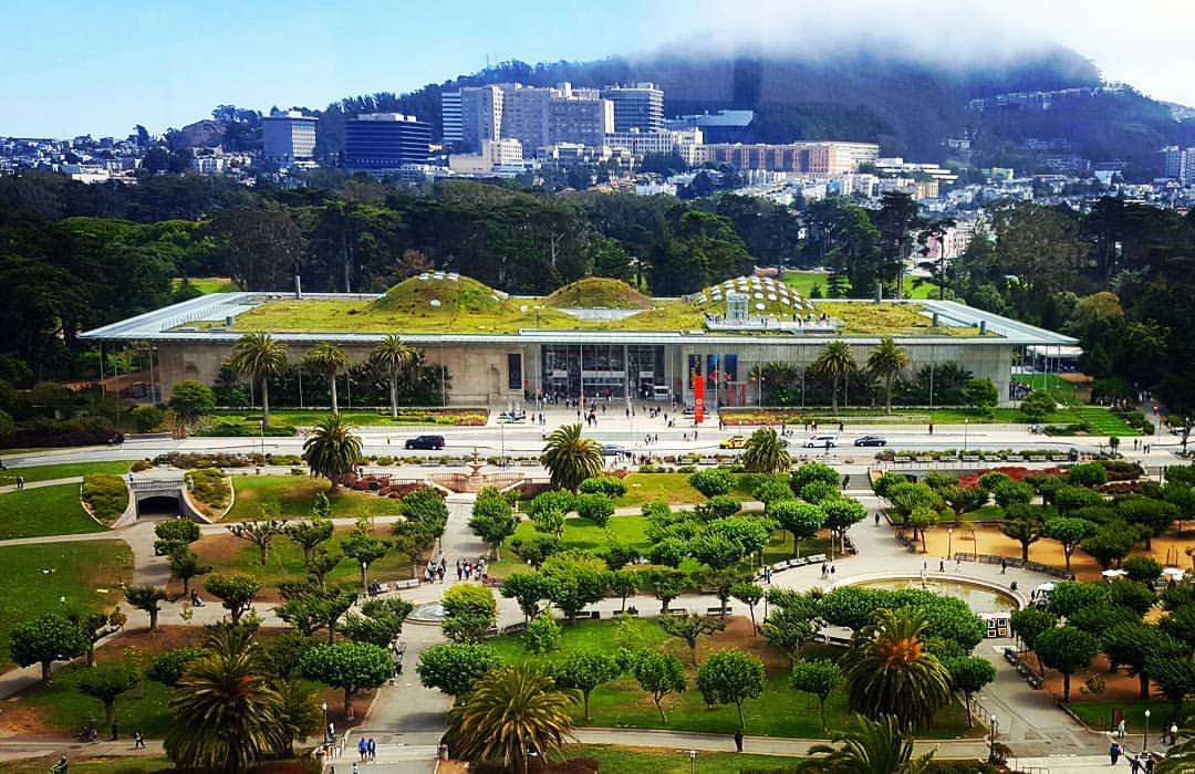 california academy of sciences        
        <figure class=