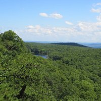 The forest is home to over half a dozen ponds and resevoirs