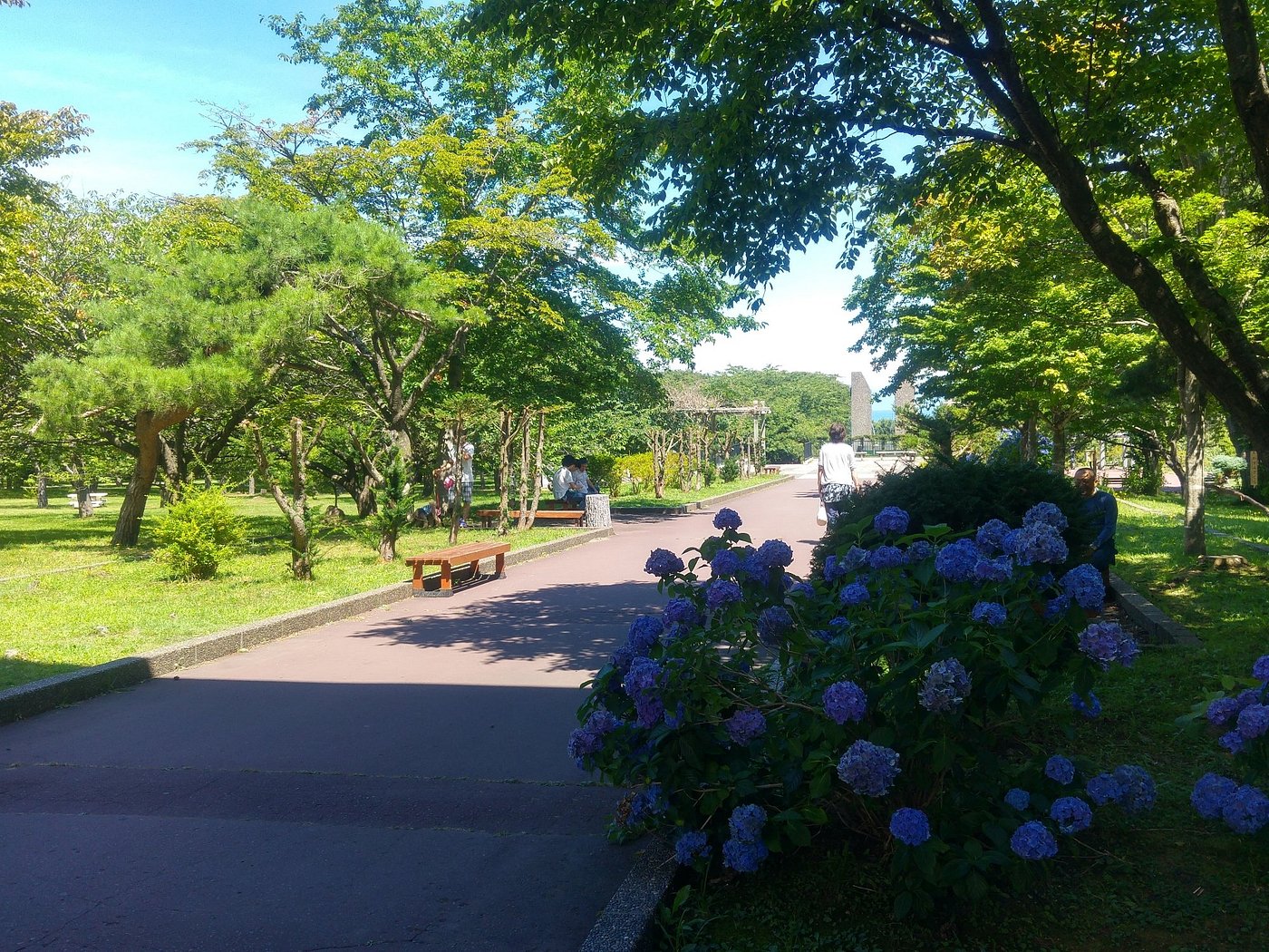 ryokan-tsubaki-minshuku-reviews-japan-hokkaido-mori-machi