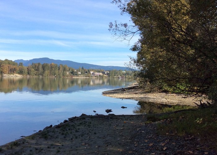 Fraser River view from Derby Reach Regional Park