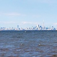 View of the City from the Park