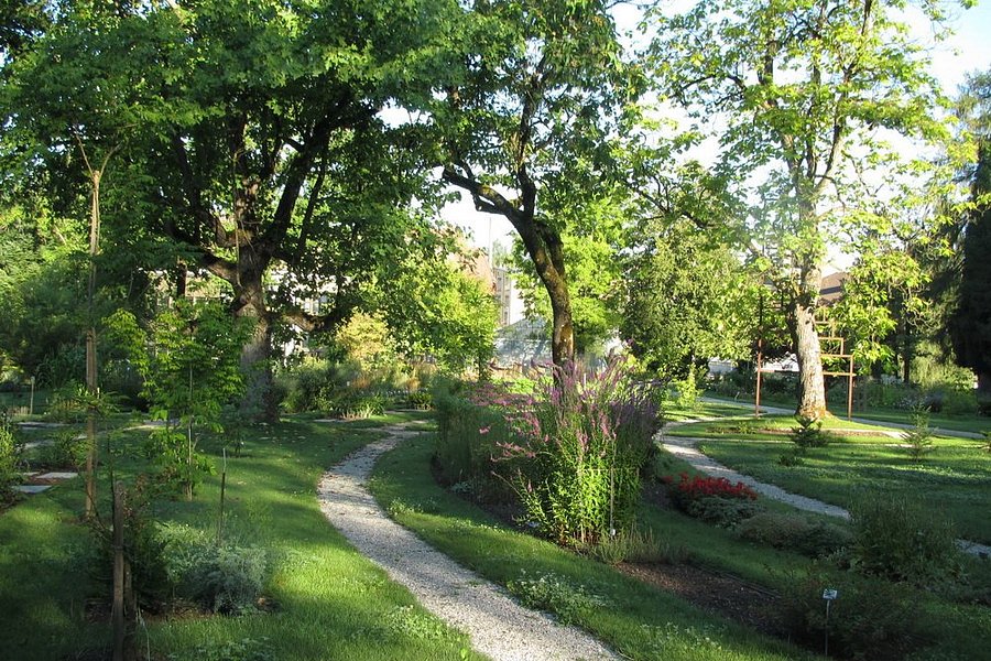Jardin botanique de l'Université de Fribourg image