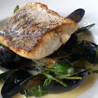 Day's catch with moules mariniere and samphire - delicious!