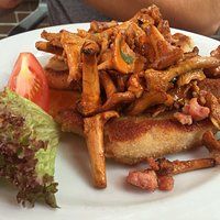Schnitzel mit frischen Pfifferlingen