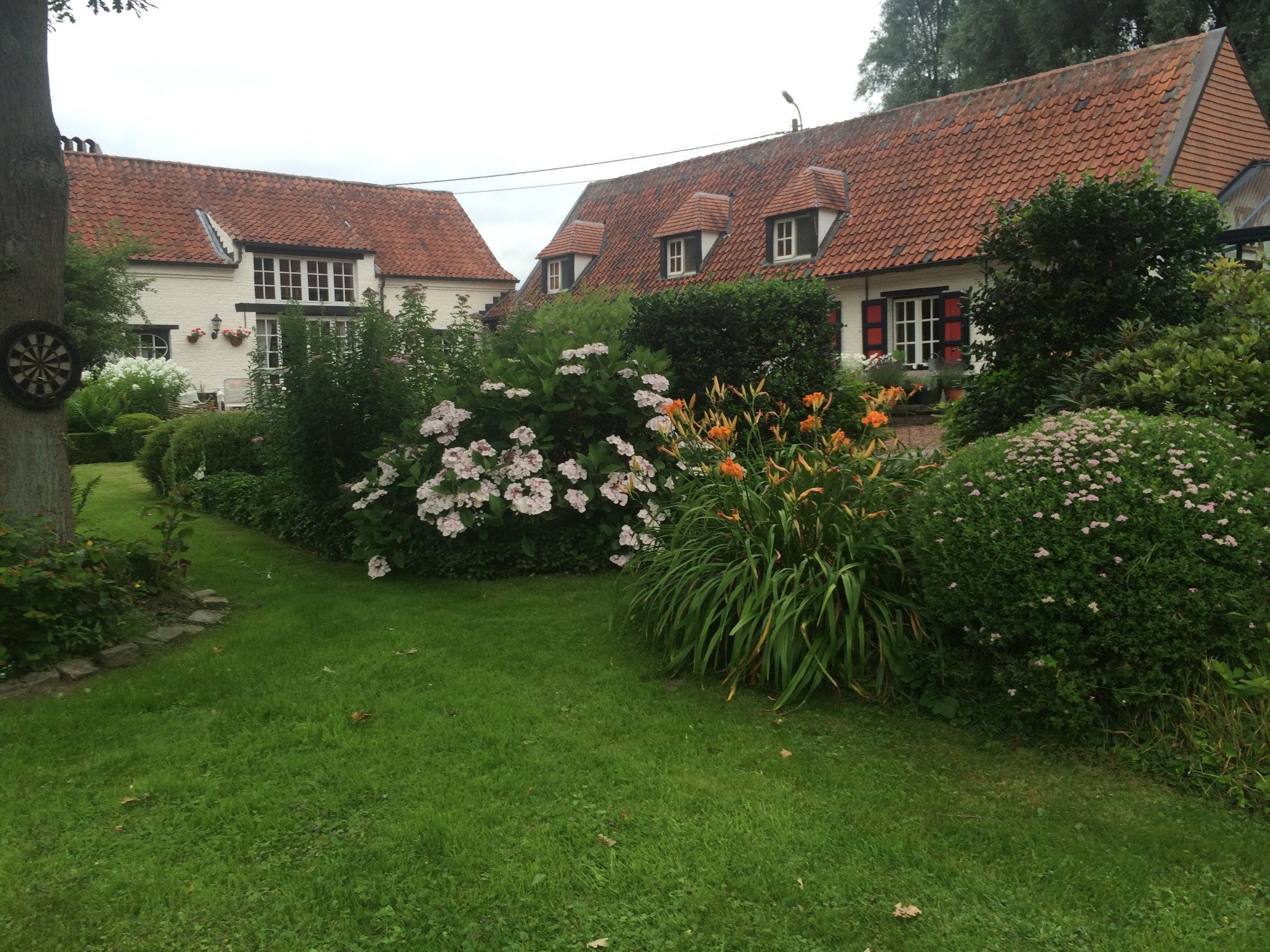 GUESTHOUSE WILLOW PILLOW Reviews The Willow Pillow Reviews | Facebook