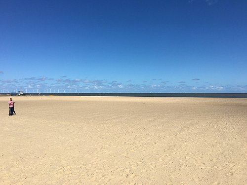 are dogs allowed at any yarmouth beaches