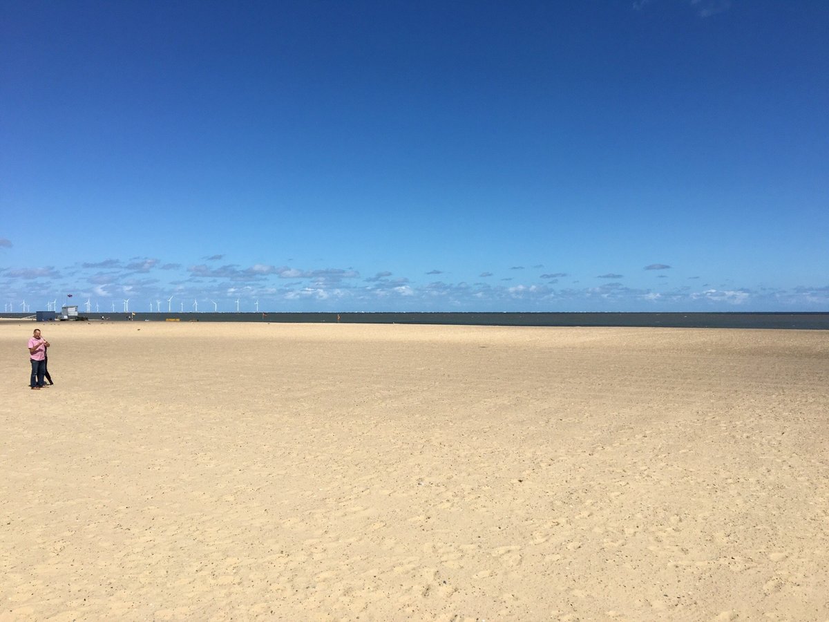 can you walk dogs on great yarmouth beach