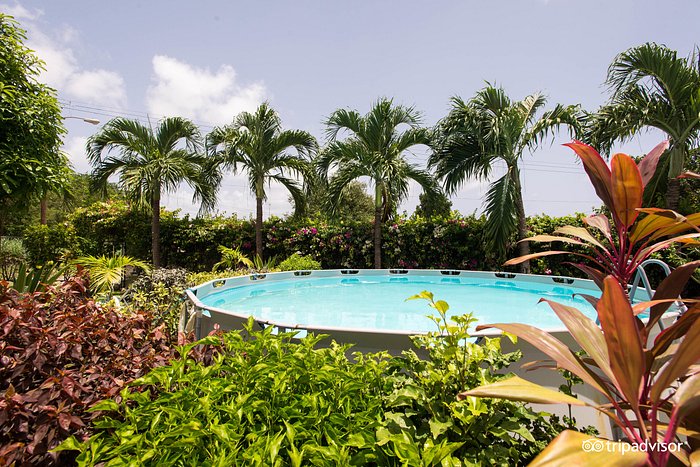 Palm Paradise Guest House + 2 Apartments - UPDATED Prices, Reviews & Photos  (Paynes Bay, Barbados) - B&B - Tripadvisor