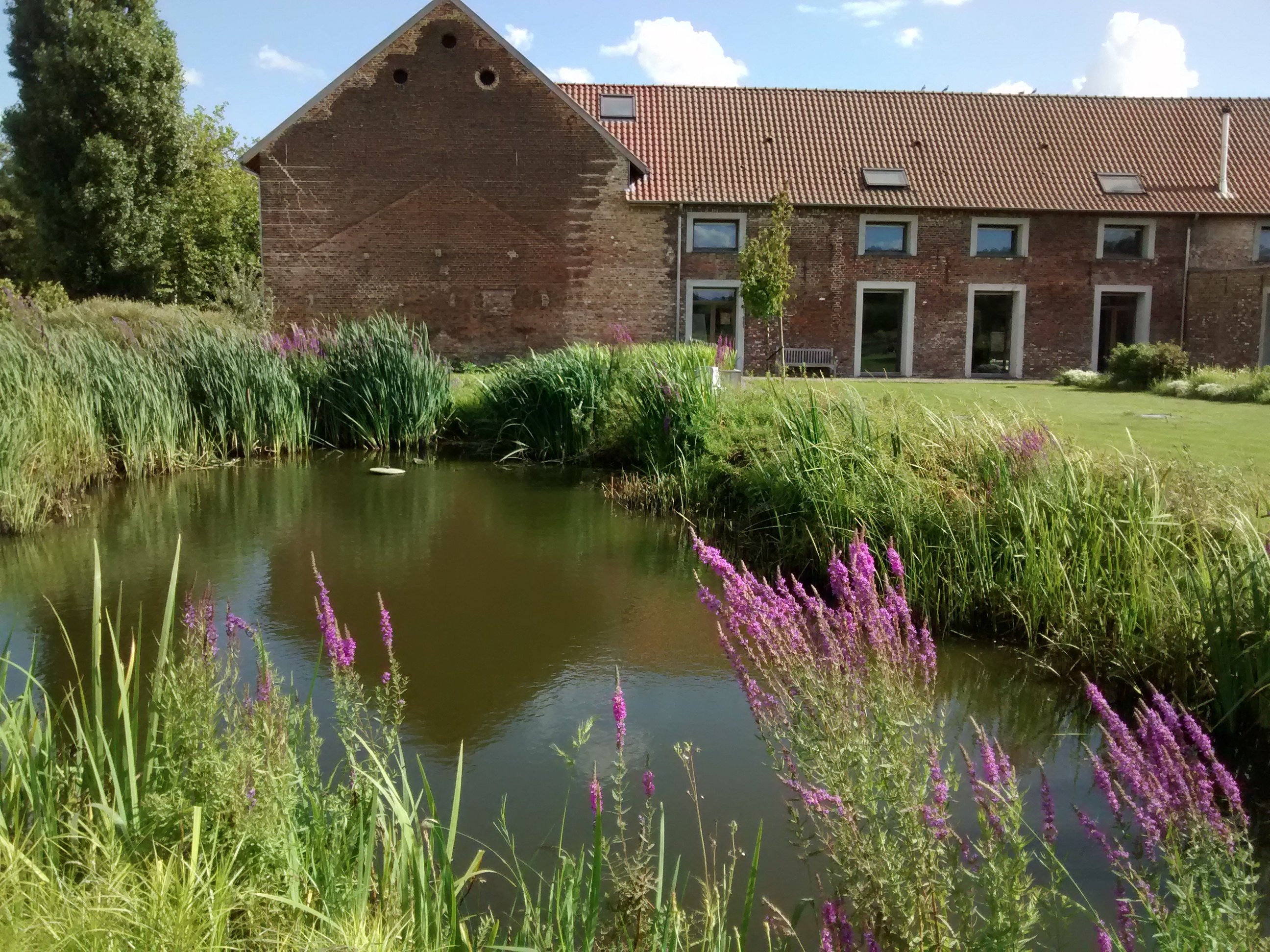 KASTEELHOEVE WANGE - Specialty B&B Reviews (Landen, Belgium)