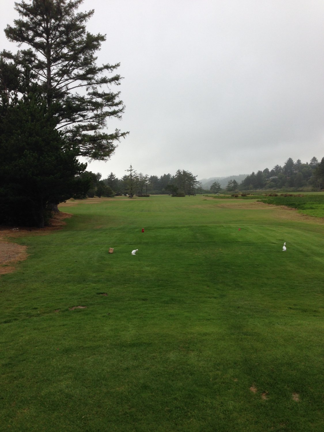 LE MIGLIORI 5 Cose Da Vedere A Neskowin 2024   Par4 First Hole Out Of 