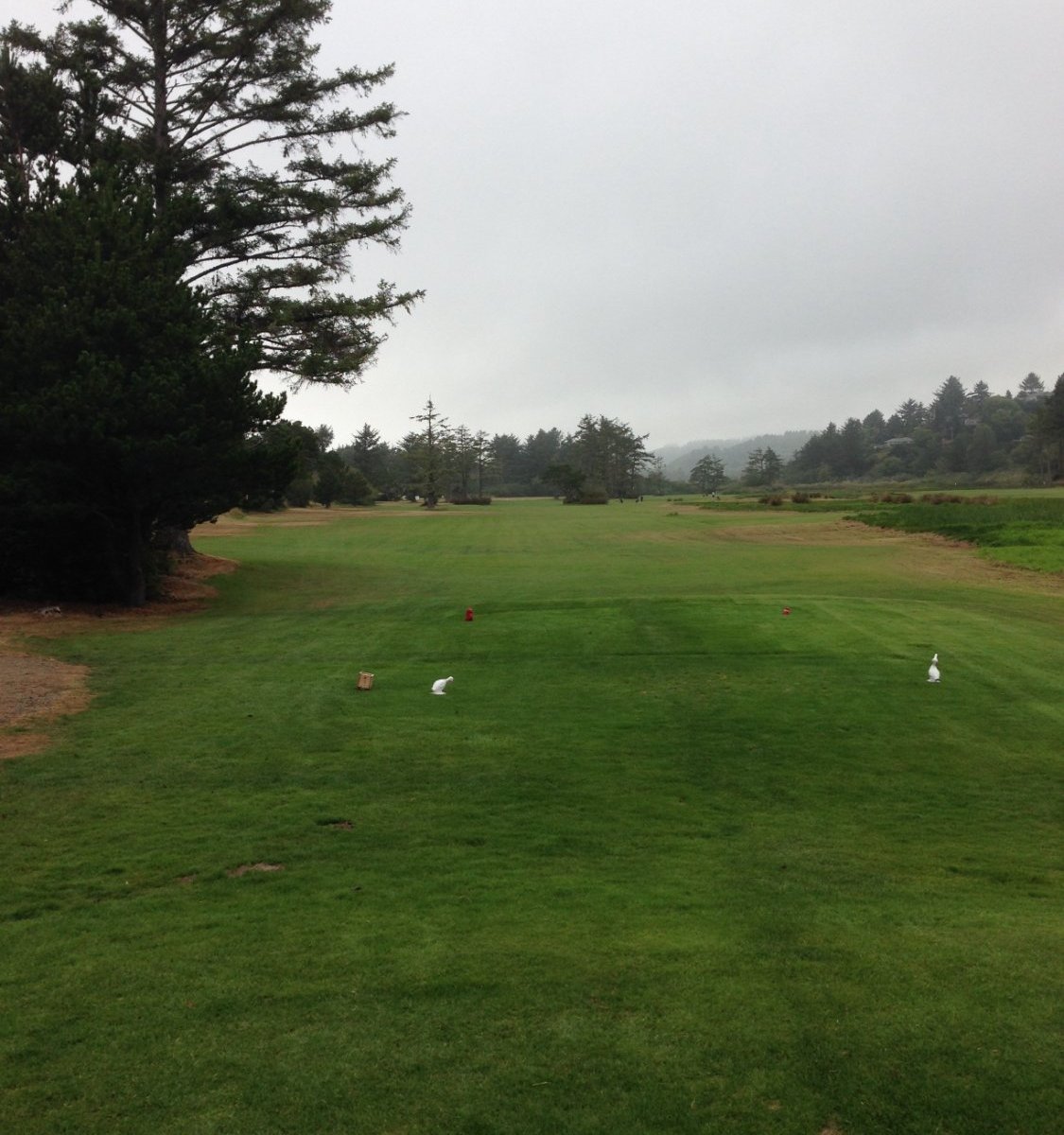 NESKOWIN BEACH GOLF COURSE 2022 Qué saber antes de ir Lo más