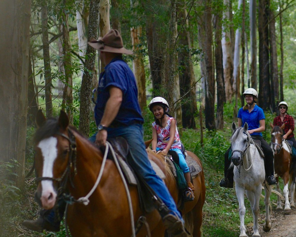 THE 10 BEST Australia Horseback Riding Tours (2025) - Tripadvisor