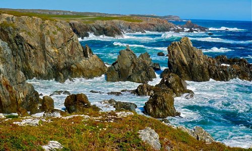 Cape Shore Trail