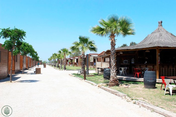 Imagen 18 de Bungalows Park Albufera