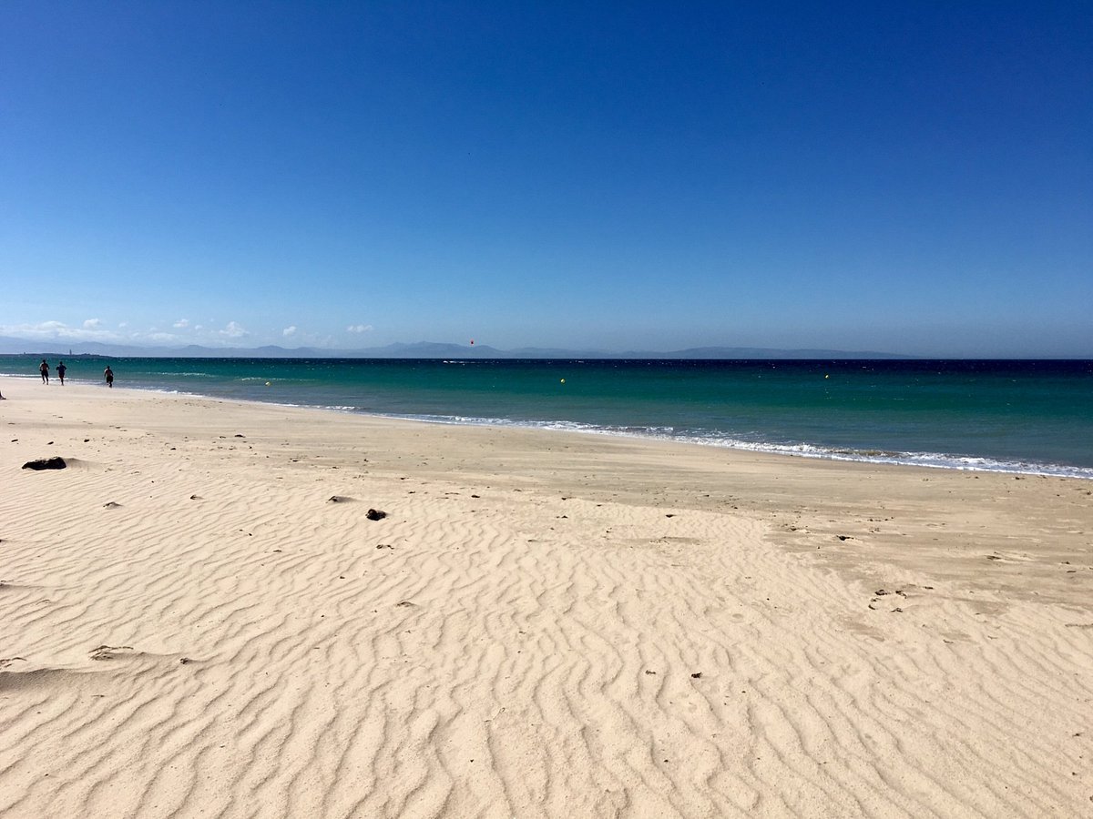 Los Lances Beach - All You Need to Know BEFORE You Go (with Photos)