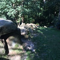 Mooie grote hunebed
