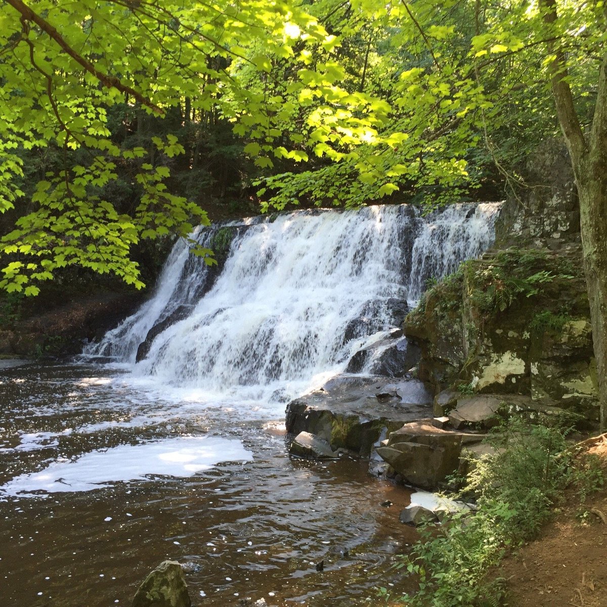 Wadsworth Falls State Park Trail Map Wadsworth Falls State Park (Middletown) - All You Need To Know Before You Go