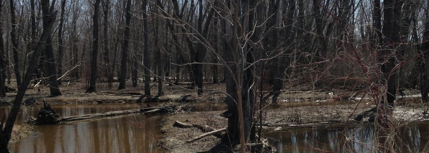 High water at Westmeath Provincial Park