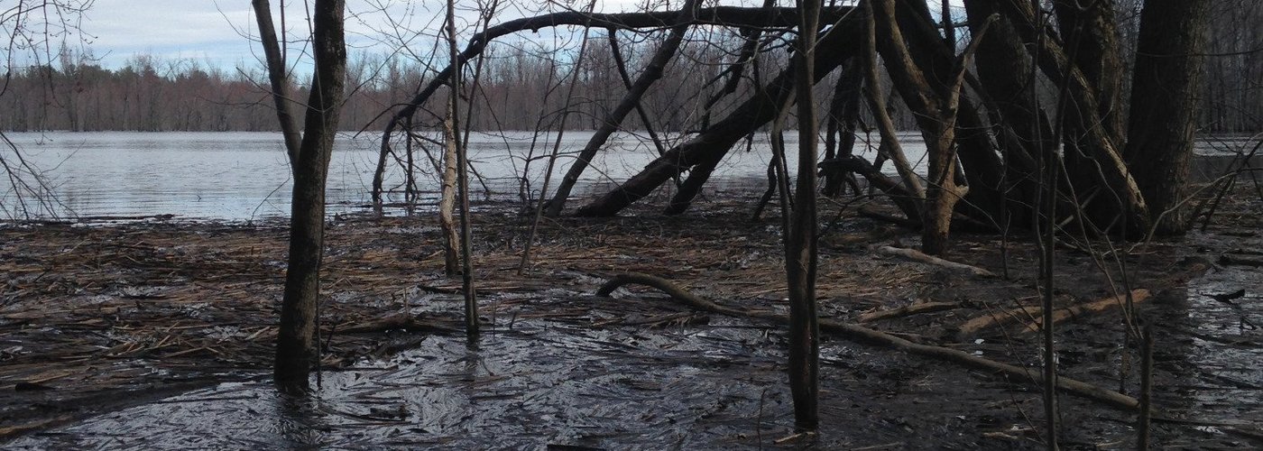 Missed the beaver, but still a good shot!